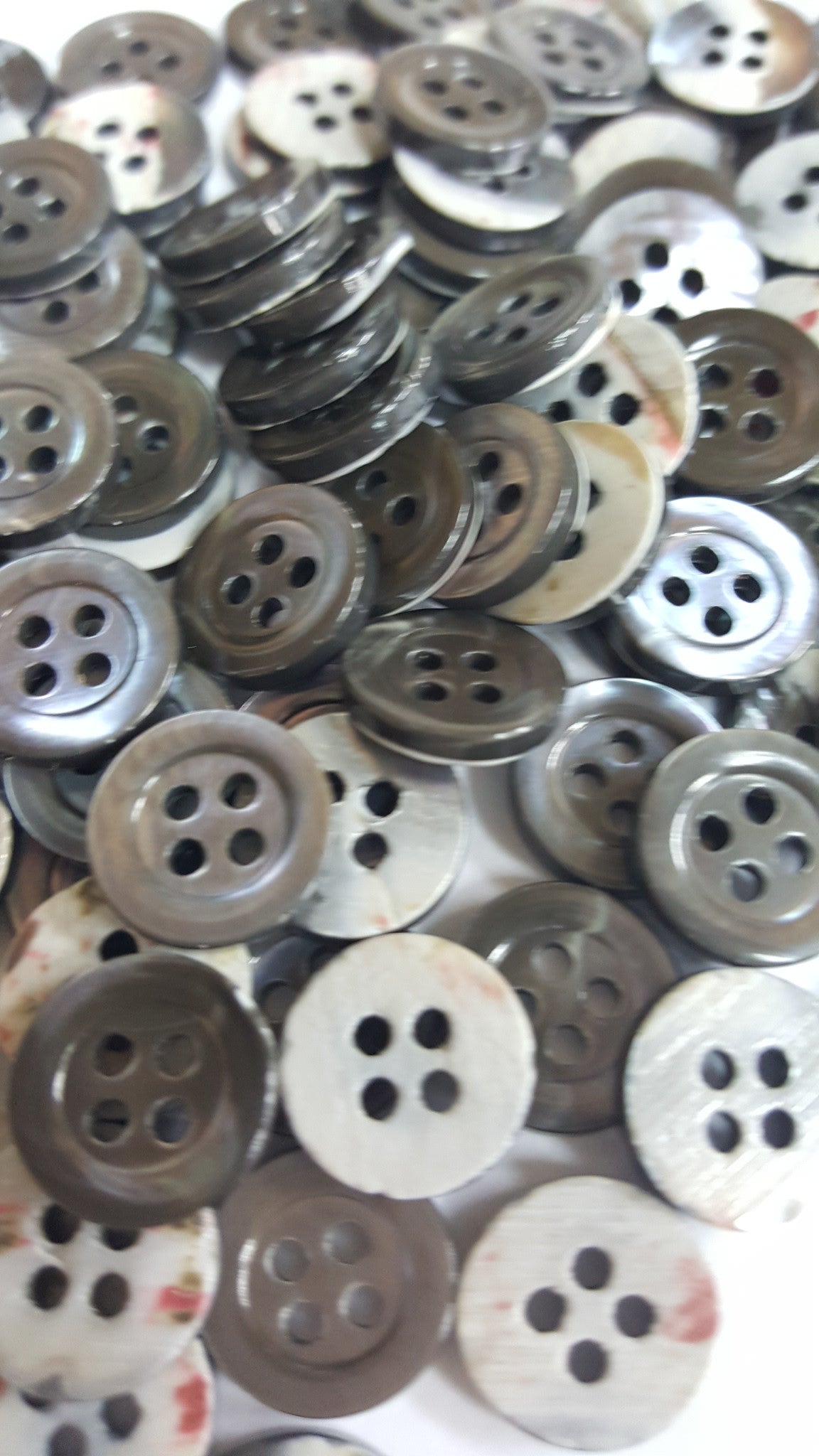 SP05 HUBERROSS Classic Trocus Shell Buttons in White , Grey and Brown