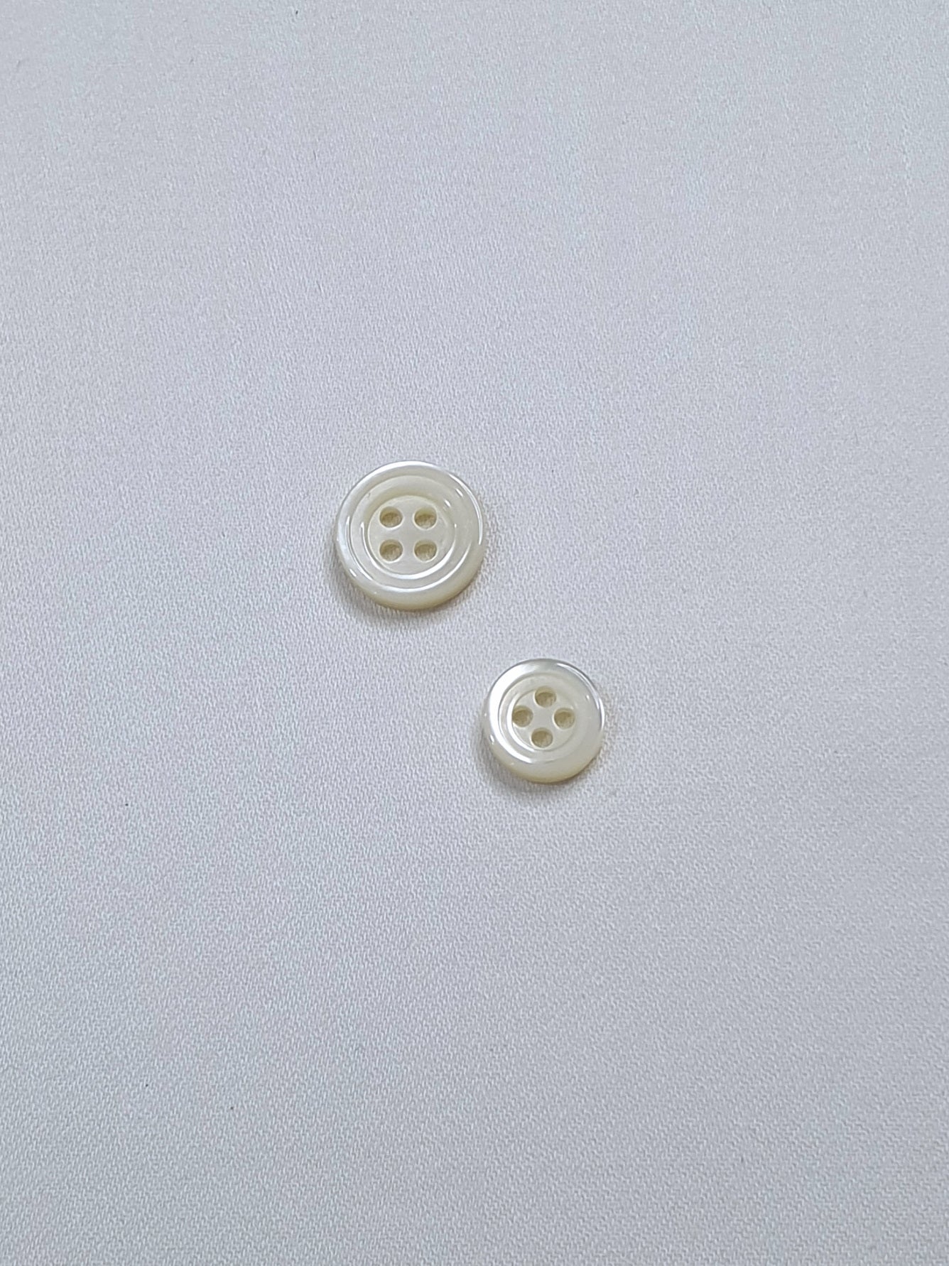 SP02/W HUBERROSS White Colored Trocus Shell Buttons