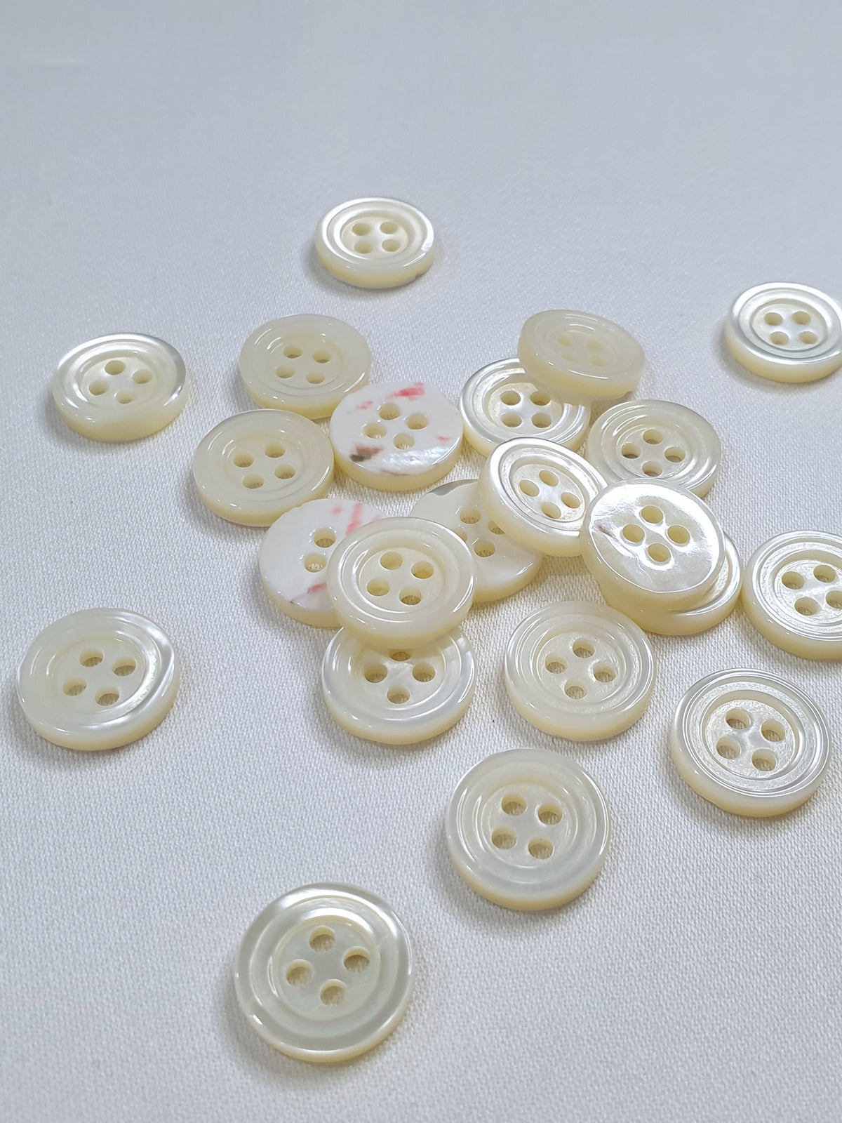 SP02/W HUBERROSS White Colored Trocus Shell Buttons