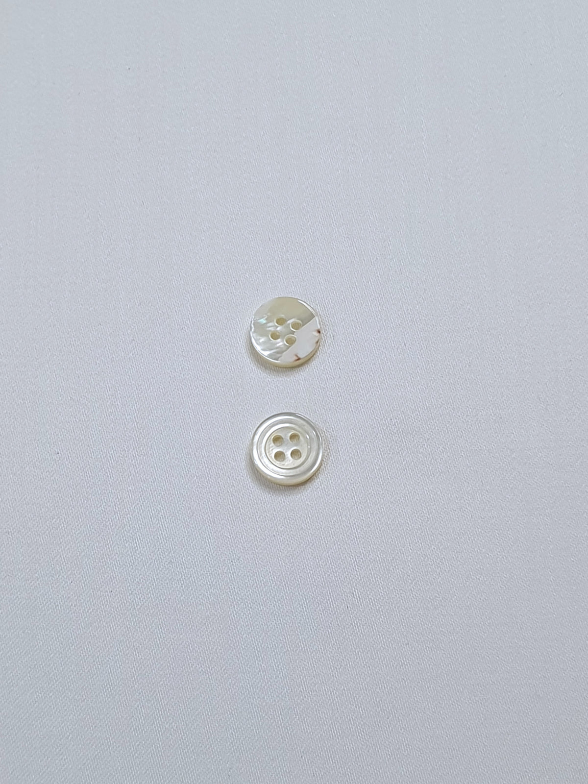 SP02/W HUBERROSS White Colored Trocus Shell Buttons