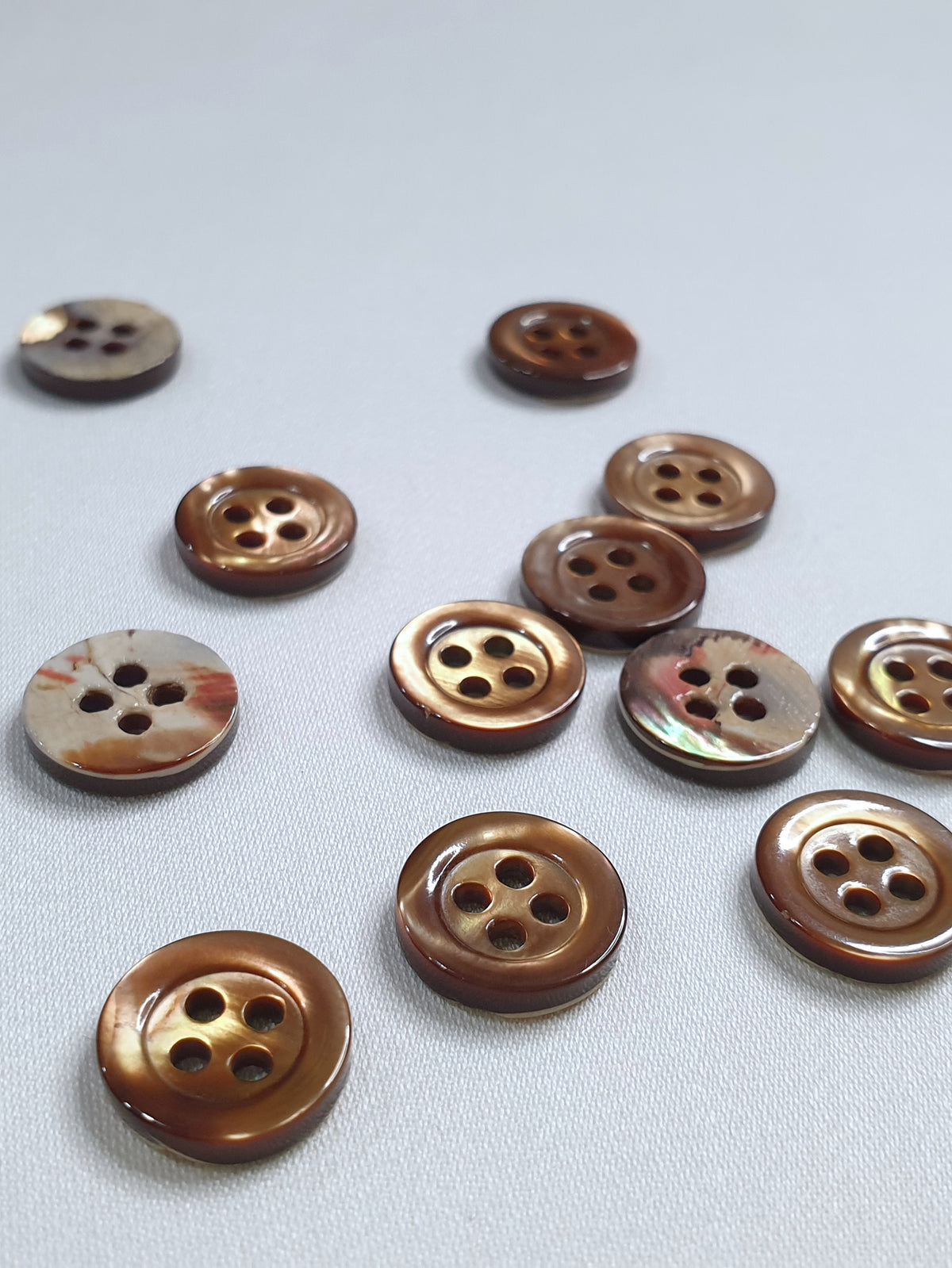 SP05 HUBERROSS Classic Trocus Shell Buttons in White , Grey and Brown