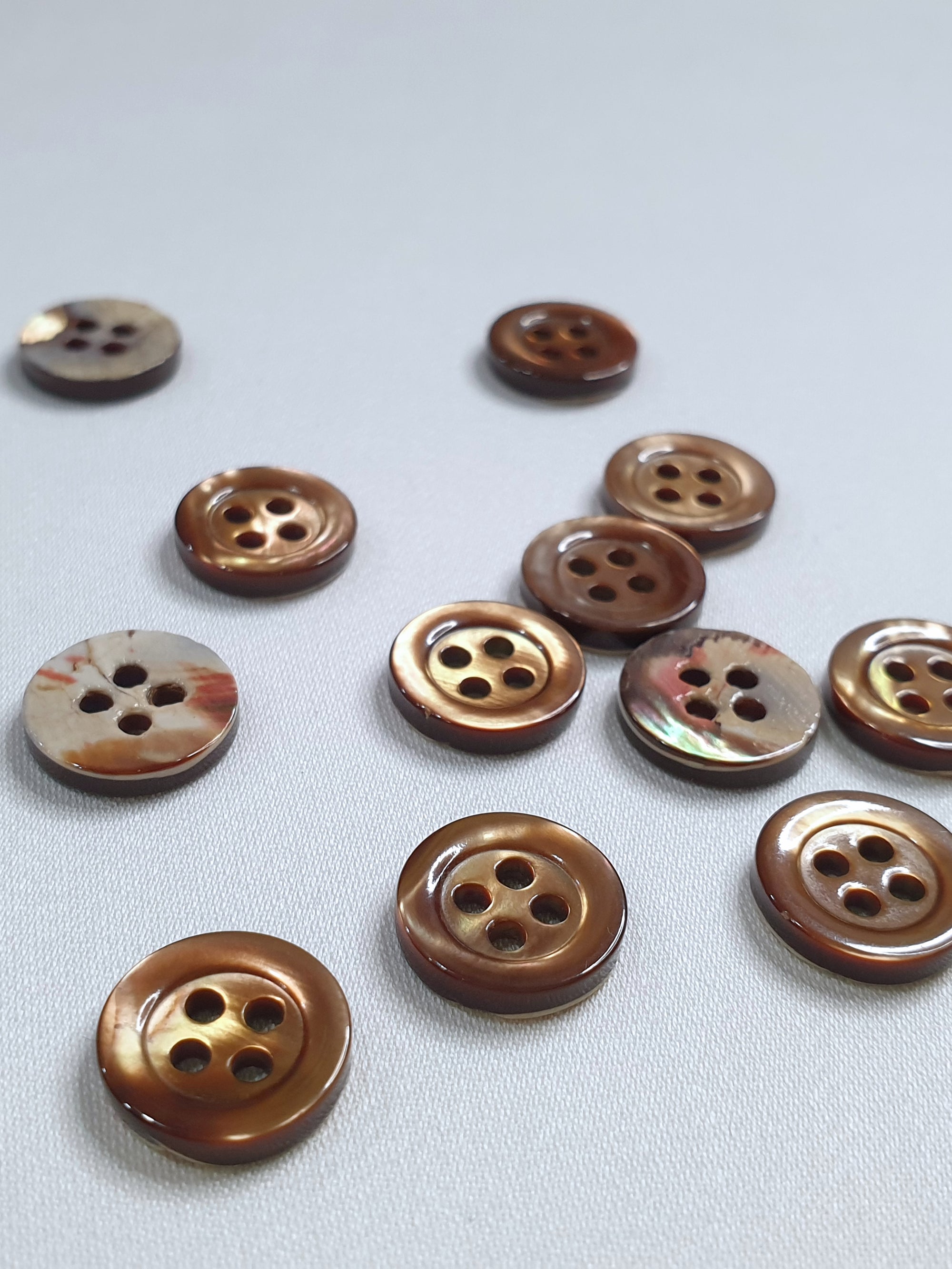 SP05 HUBERROSS Classic Trocus Shell Buttons in White , Grey and Brown