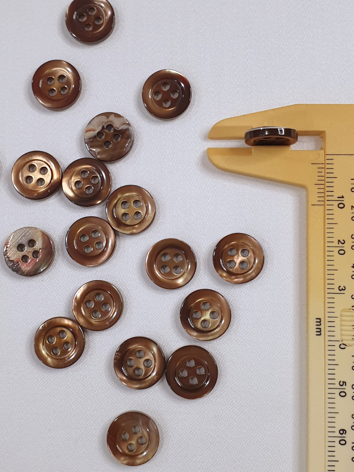 SP05 HUBERROSS Classic Trocus Shell Buttons in White , Grey and Brown