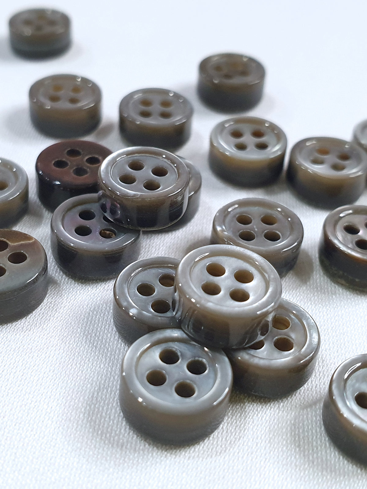 SP06/G14 HUBERROSS Grey Colour 4mm Trocus Shell Buttons