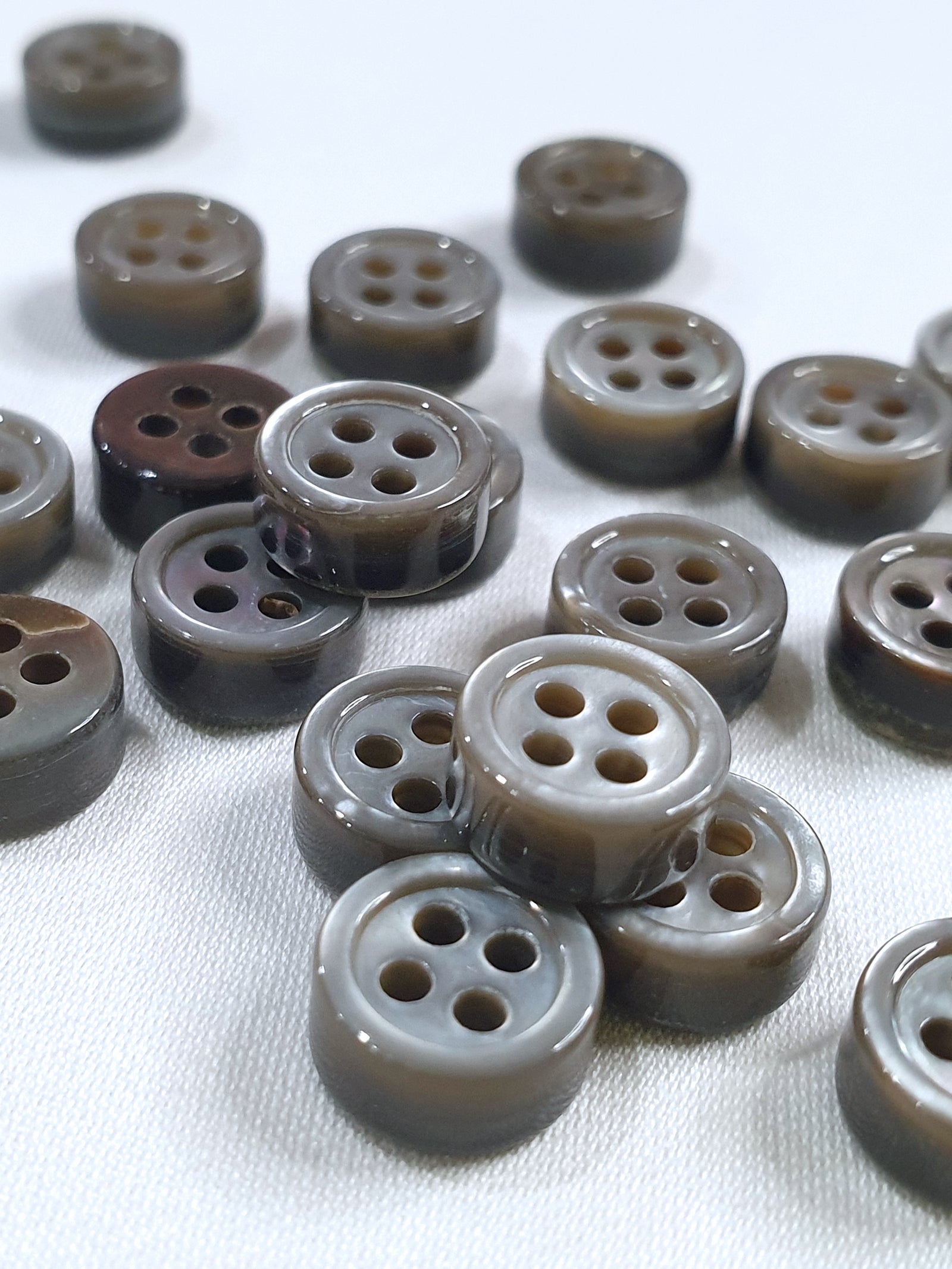 SP06/G14 HUBERROSS Grey Colour 4mm Trocus Shell Buttons