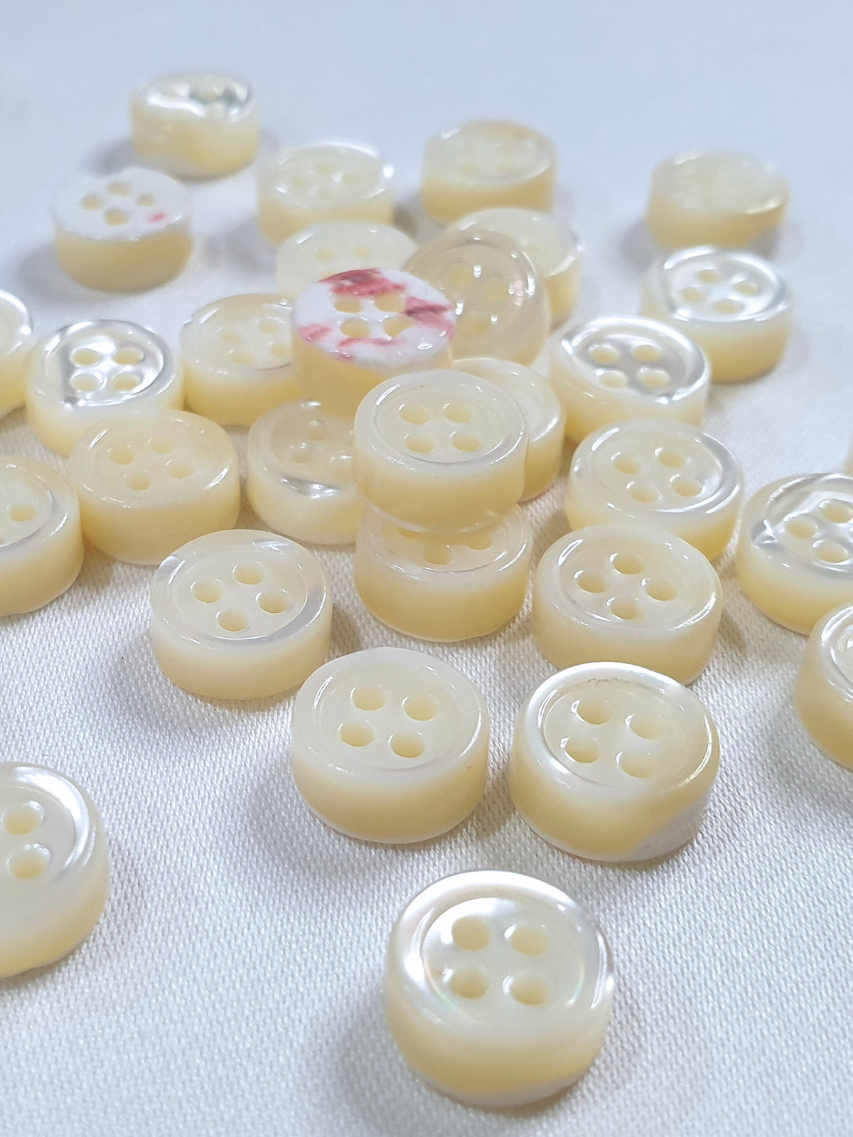 SP06/W14 HUBERROSS White Colour 4mm Trocus Shell Buttons