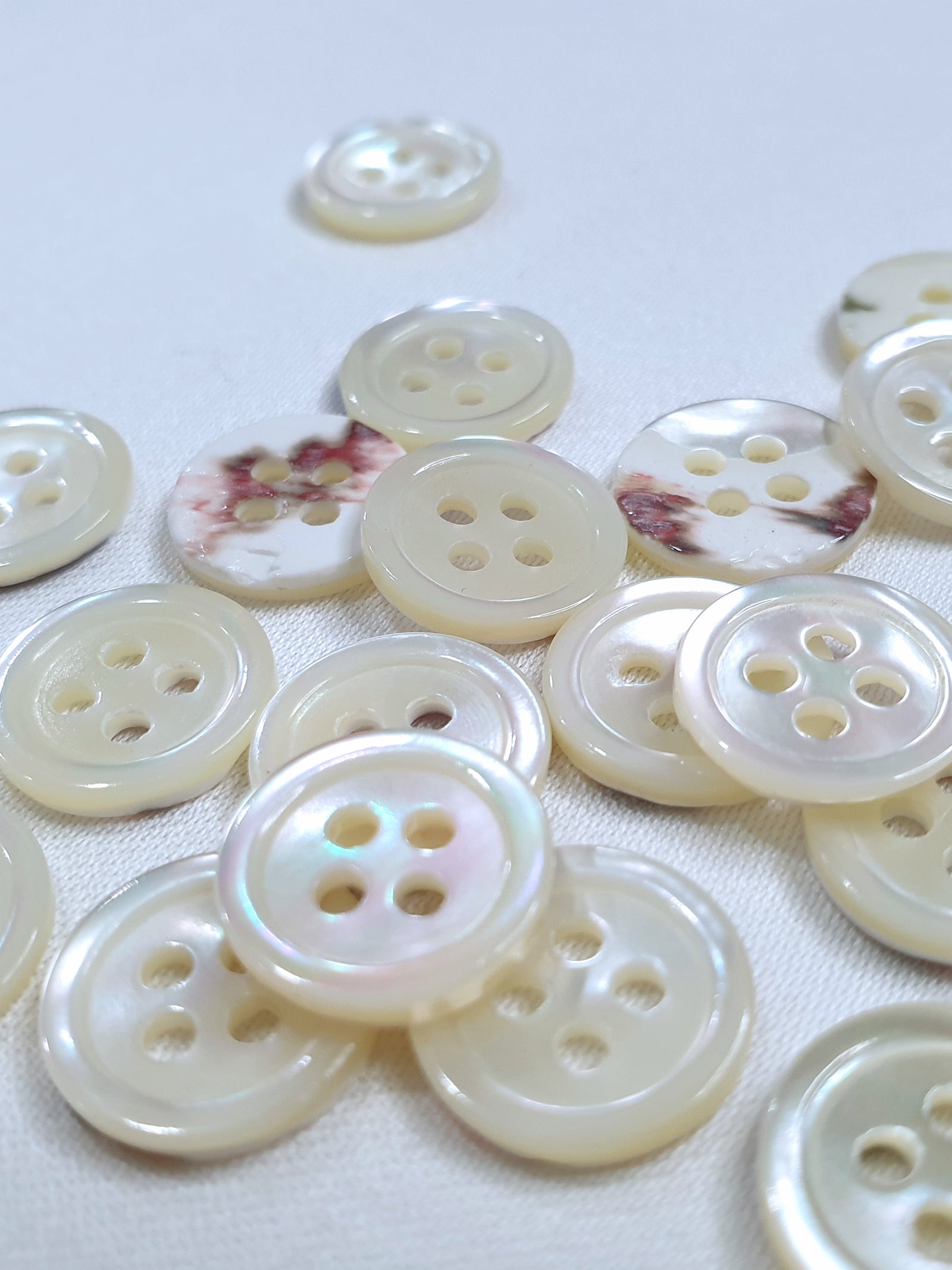 SP17 Arsenic Grey HUBERROSS Trocus Shell Buttons for Shirtings