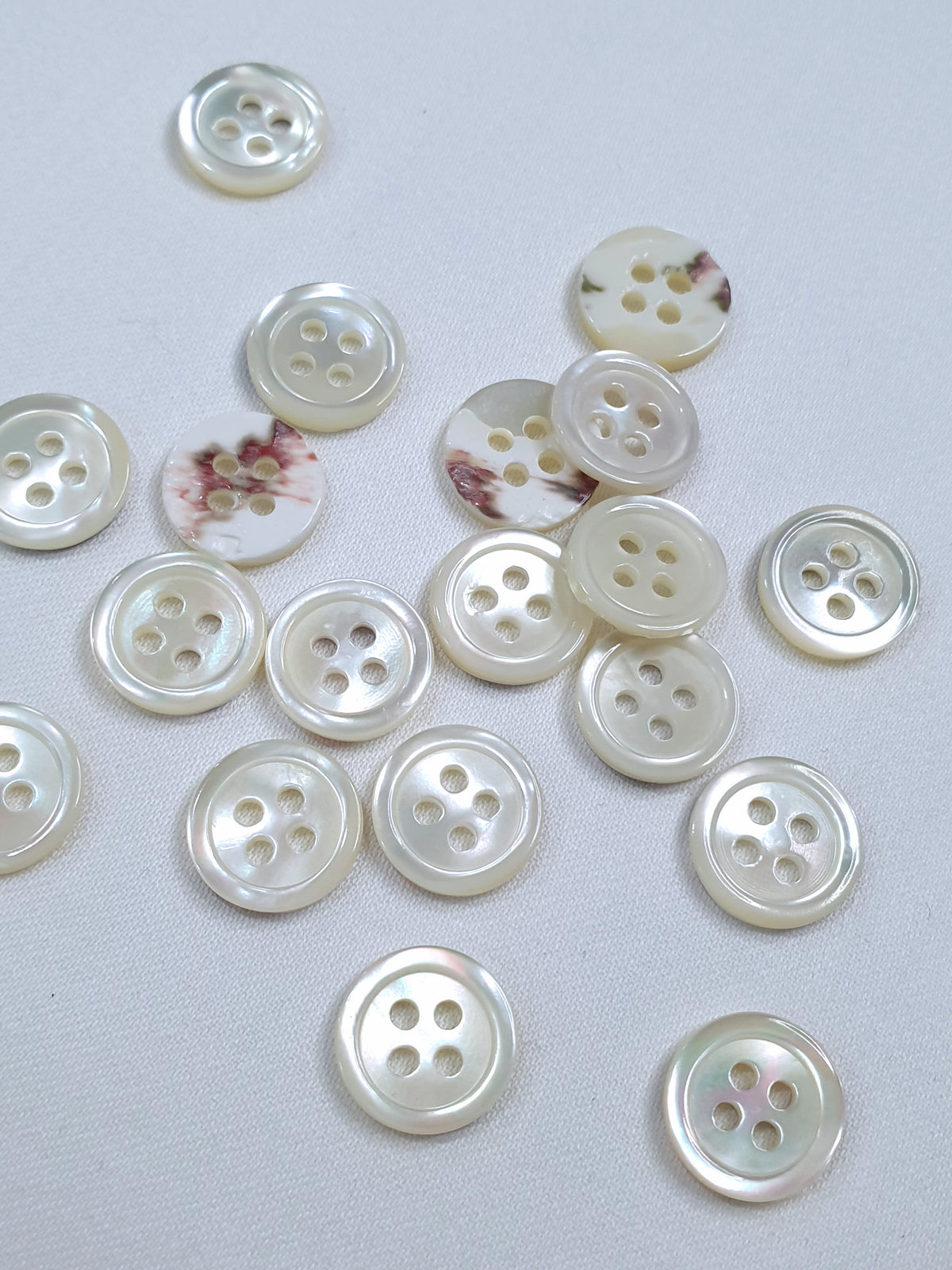 SP17 Arsenic Grey HUBERROSS Trocus Shell Buttons for Shirtings