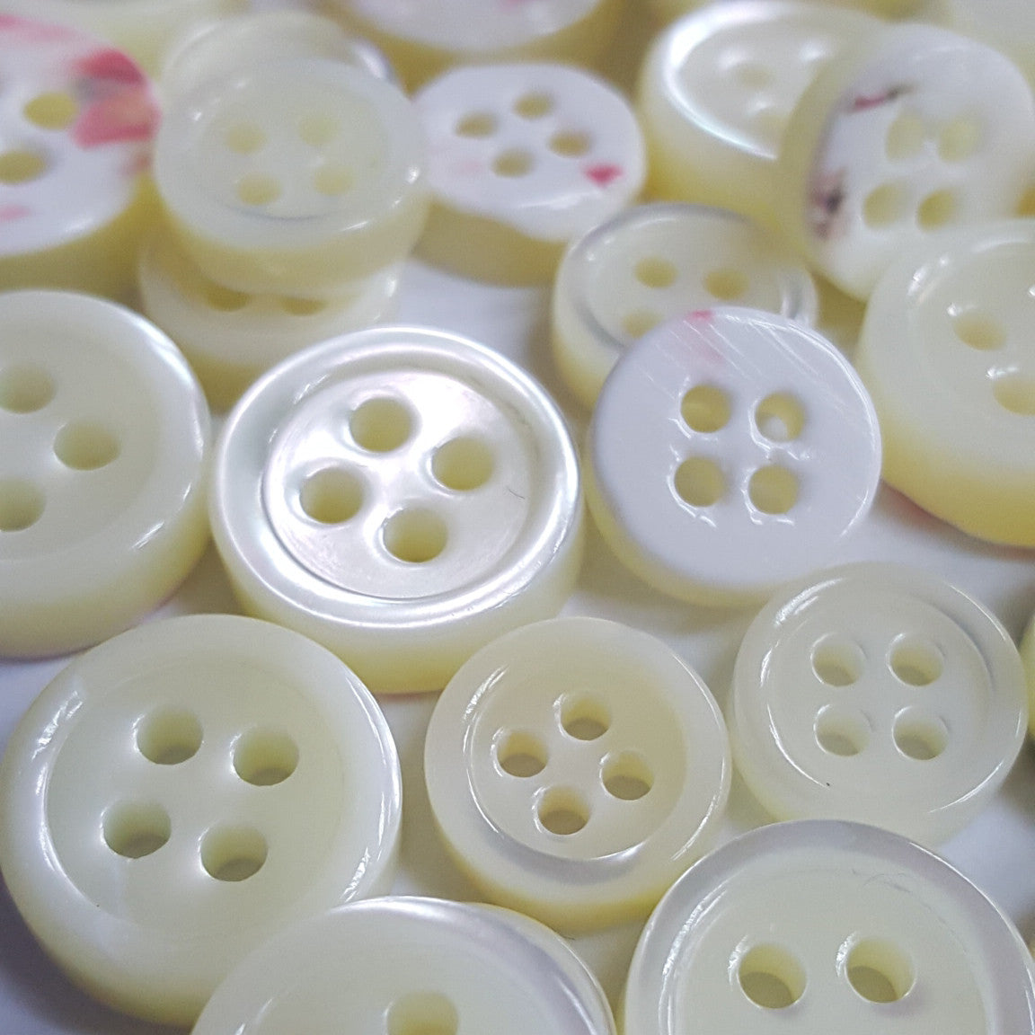 SP06/W14 HUBERROSS White Colour 4mm Trocus Shell Buttons