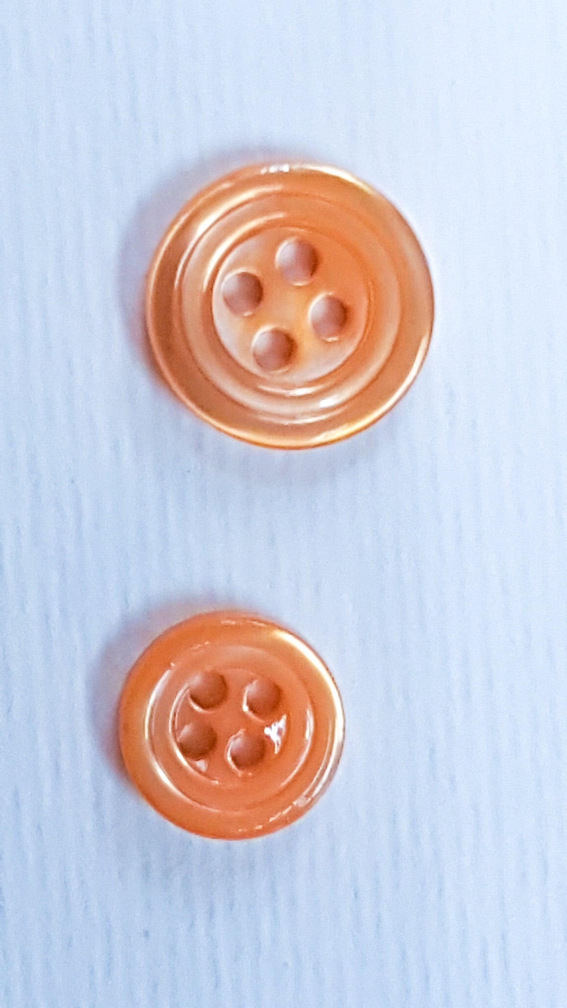 SP02/OR HUBERROSS Apricot Colored Trocus Shell Buttons