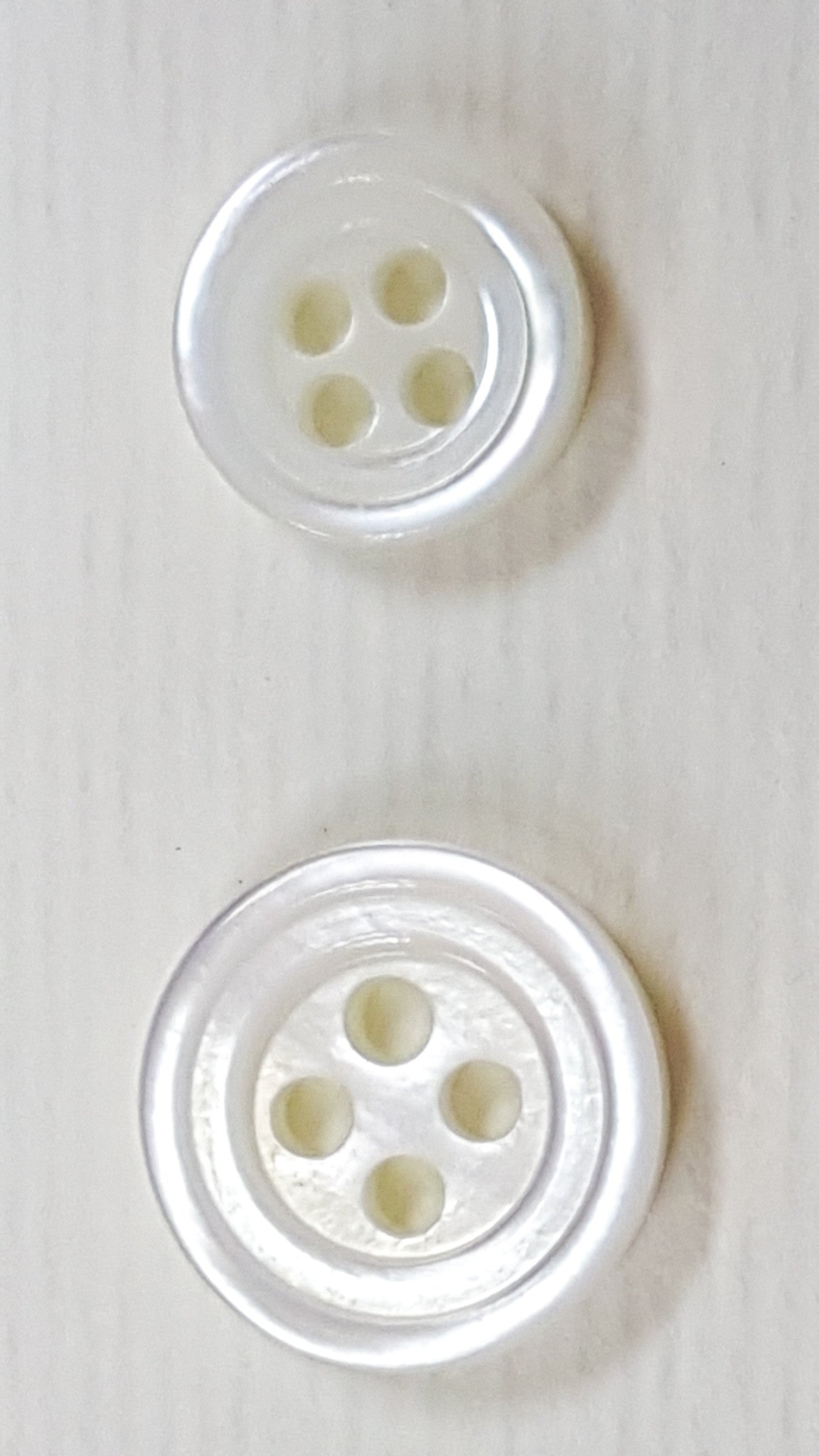 SP02/W HUBERROSS White Colored Trocus Shell Buttons