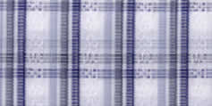 702.101 Grey Checks