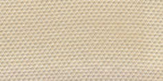 868.101