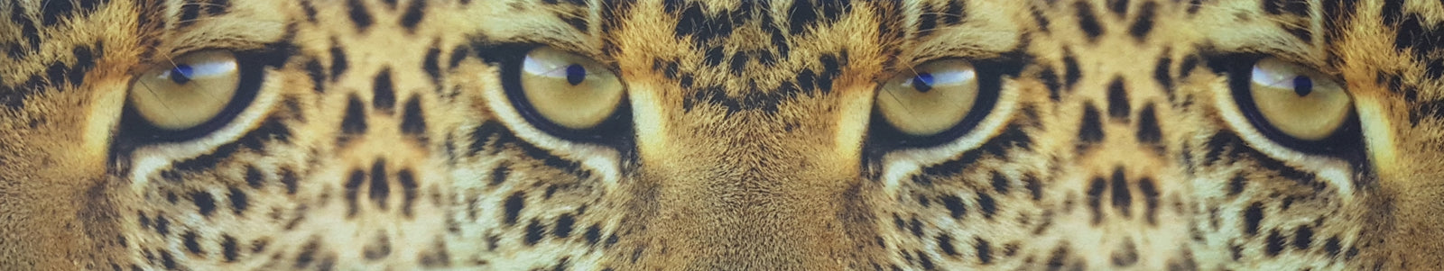 HUBERROSS Luxurious Felt for Jackets Undercollar Design FP6.001 Wool and Viscose . Made in Italy