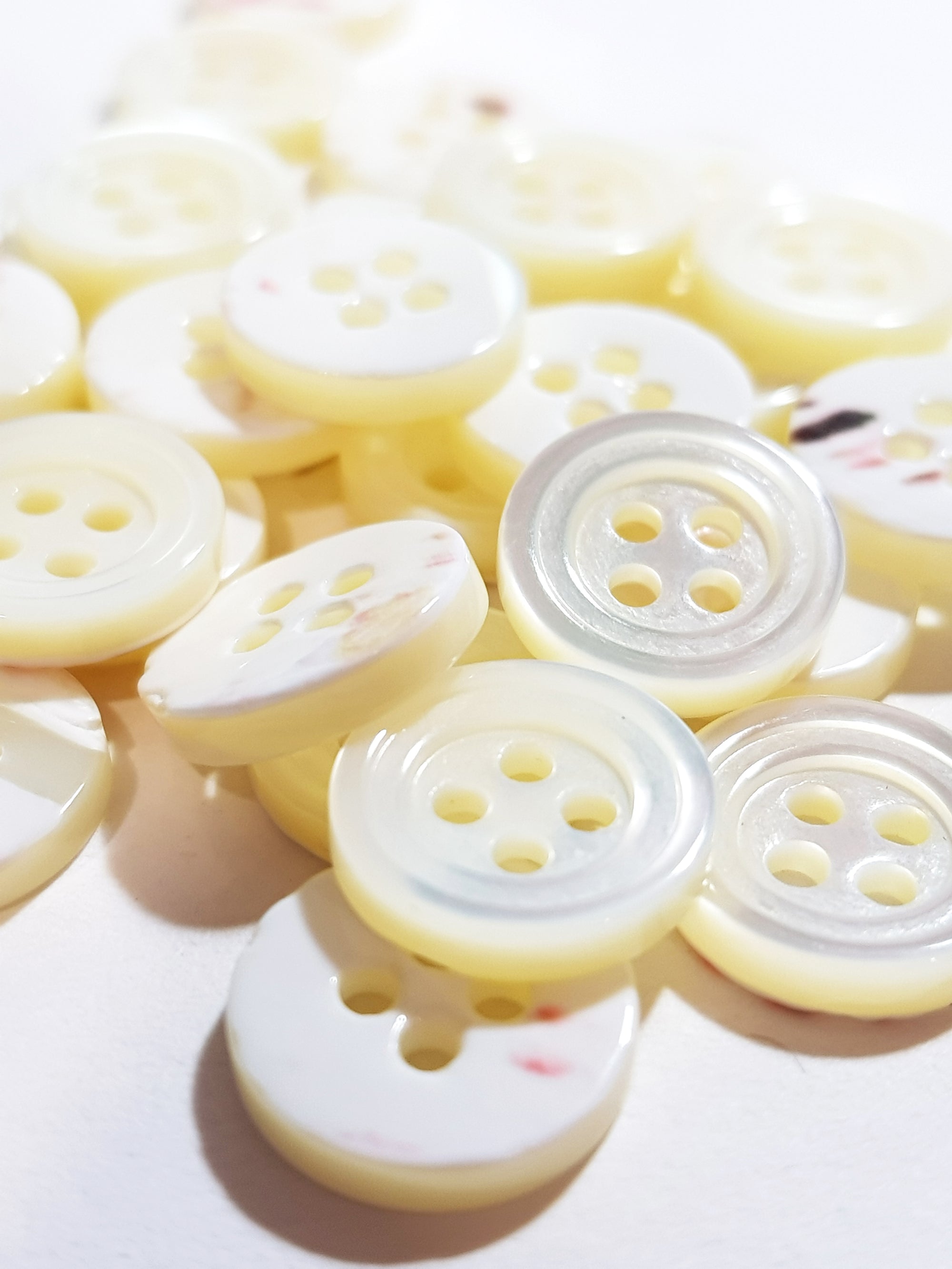 SP02/W HUBERROSS White Colored Trocus Shell Buttons